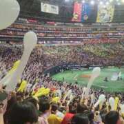 ヒメ日記 2025/10/16 14:12 投稿 風花 Polaris（ポラリス）