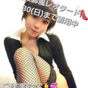 ヒメ日記 2025/11/26 08:52 投稿 風花 Polaris（ポラリス）