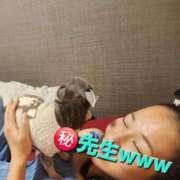 ヒメ日記 2025/12/15 21:22 投稿 風花 Polaris（ポラリス）