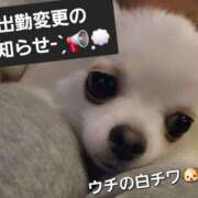 ヒメ日記 2025/12/21 09:12 投稿 風花 Polaris（ポラリス）