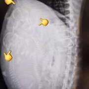 ヒメ日記 2026/03/05 10:56 投稿 風花 Polaris（ポラリス）