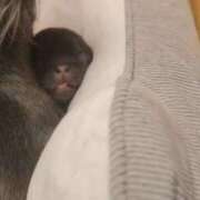 ヒメ日記 2026/03/12 14:12 投稿 風花 Polaris（ポラリス）