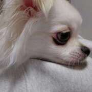 ヒメ日記 2026/03/16 14:02 投稿 風花 Polaris（ポラリス）