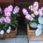 ヒメ日記 2025/02/10 01:55 投稿 もこ エロティックマッサージ 新橋