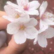 ヒメ日記 2025/04/15 12:50 投稿 もこ エロティックマッサージ 新橋