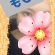 ヒメ日記 2025/09/24 14:57 投稿 もこ エロティックマッサージ 新橋