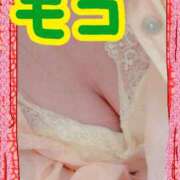 ヒメ日記 2026/06/24 17:54 投稿 もこ エロティックマッサージ 新橋