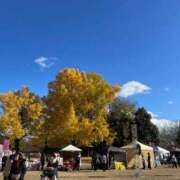 ヒメ日記 2024/12/14 12:45 投稿 ゆうき ダイスキ