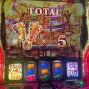 ヒメ日記 2024/12/19 17:53 投稿 ゆうき ダイスキ