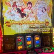 ヒメ日記 2024/12/19 18:26 投稿 ゆうき ダイスキ