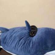 ヒメ日記 2025/01/24 17:02 投稿 ゆうき ダイスキ