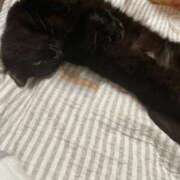 ヒメ日記 2025/01/25 18:47 投稿 ゆうき ダイスキ