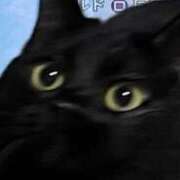 ヒメ日記 2025/02/04 21:56 投稿 ゆうき ダイスキ