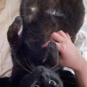 ヒメ日記 2025/06/14 15:23 投稿 ゆうき ダイスキ