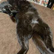 ヒメ日記 2025/07/01 19:16 投稿 ゆうき ダイスキ