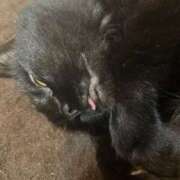 ヒメ日記 2025/07/08 23:24 投稿 ゆうき ダイスキ