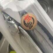 ヒメ日記 2025/09/04 19:43 投稿 ゆうき ダイスキ