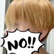 ヒメ日記 2025/09/15 04:25 投稿 ゆうき ダイスキ