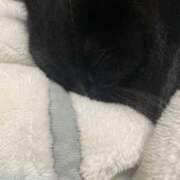 ヒメ日記 2025/10/31 12:50 投稿 ゆうき ダイスキ