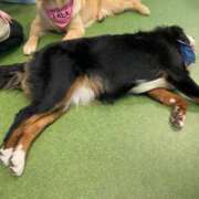 ヒメ日記 2025/11/04 13:12 投稿 ゆうき ダイスキ