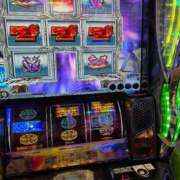 ヒメ日記 2026/02/02 21:32 投稿 ゆうき ダイスキ