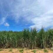 ヒメ日記 2026/03/04 01:26 投稿 ゆうき ダイスキ