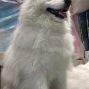 ヒメ日記 2026/03/08 14:17 投稿 ゆうき ダイスキ