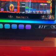 ヒメ日記 2026/03/23 10:25 投稿 ゆうき ダイスキ