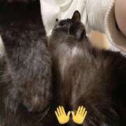 ヒメ日記 2026/06/21 02:21 投稿 ゆうき ダイスキ