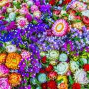 ヒメ日記 2025/04/30 23:58 投稿 ななせ マダム可憐