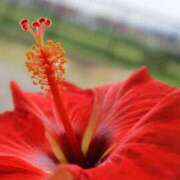 ヒメ日記 2025/08/04 22:11 投稿 ななせ マダム可憐