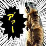 ヒメ日記 2025/08/14 23:31 投稿 ななせ マダム可憐