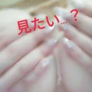 ヒメ日記 2025/08/27 12:03 投稿 ななせ マダム可憐