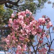 ヒメ日記 2026/03/28 22:07 投稿 ななせ マダム可憐