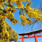 ヒメ日記 2026/03/30 22:36 投稿 ななせ マダム可憐