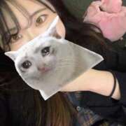 ヒメ日記 2024/12/13 17:52 投稿 らいむ 横浜関内人妻城