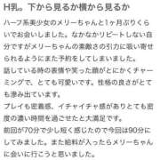 ヒメ日記 2025/03/27 21:17 投稿 宮城メリー ウルトラハピネス