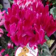 ヒメ日記 2025/11/24 14:47 投稿 まりこスリー Three＆Men’s Spa 諏訪