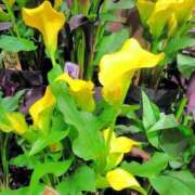 ヒメ日記 2025/11/24 21:50 投稿 まりこスリー Three＆Men’s Spa 諏訪