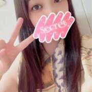 ヒメ日記 2025/04/24 22:51 投稿 ゆりか アネックスジャパン