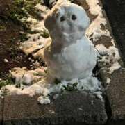 ヒメ日記 2026/02/08 20:29 投稿 ゆりか アネックスジャパン