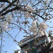 ヒメ日記 2026/03/28 17:09 投稿 ゆりか アネックスジャパン