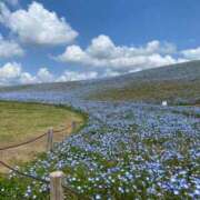 Io お休み(⚲□⚲) THE PREMIUM （プレミアム）