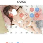 ヒメ日記 2025/04/28 13:38 投稿 しずく ビギナーズ神戸