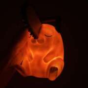 ヒメ日記 2025/12/27 12:02 投稿 しずく ビギナーズ神戸