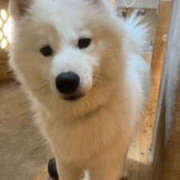 ヒメ日記 2026/01/17 13:41 投稿 しずく ビギナーズ神戸