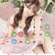 しずく 桜花キミに恋したようだ🌸 ビギナーズ神戸