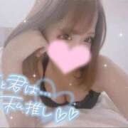 ヒメ日記 2025/02/27 17:19 投稿 ヒマワリ AMOUR（アムール）