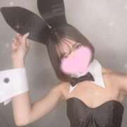 ヒメ日記 2025/06/14 16:39 投稿 ヒマワリ AMOUR（アムール）