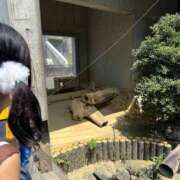 ヒメ日記 2025/08/12 12:04 投稿 ひな 30分3900円！サンキュー静岡店（サンキューグループ）